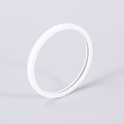 Shafts Electric Y-Ring Chemical Corrosion Resistant Piston Seal Ring PTB Bore Supplier